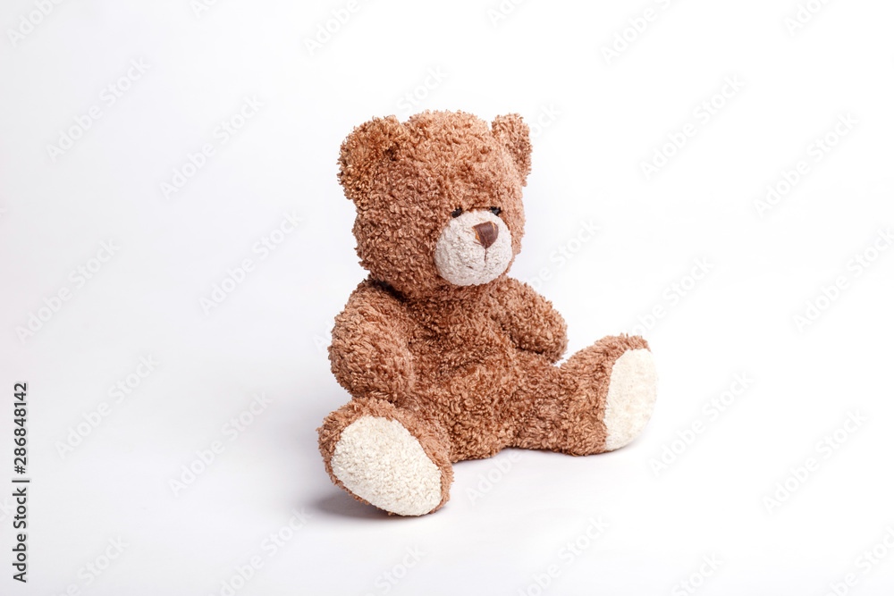 toy cute soft brown  Teddy bear isolated on white background