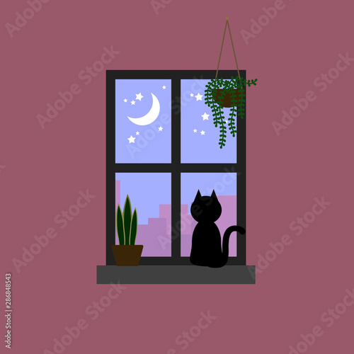 Black cat staring the moon and star on pastel purple sky through window decorated with house plants