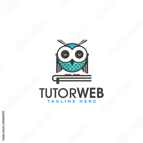 vector illustration of an owl Tutoring for innovative educational platform logo