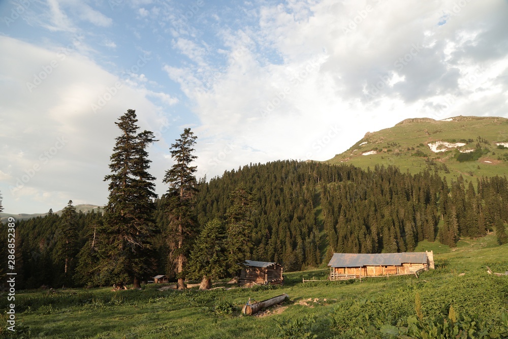 village houses in the forest .artvin turkey