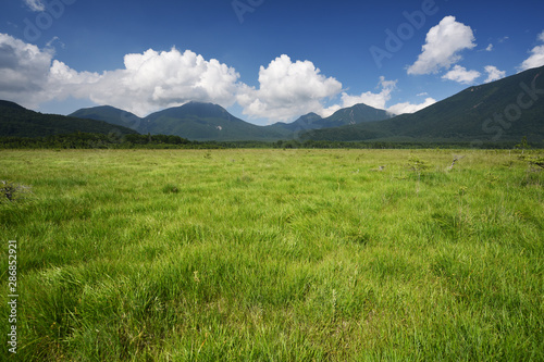 緑輝く美しい草原 © skyblue