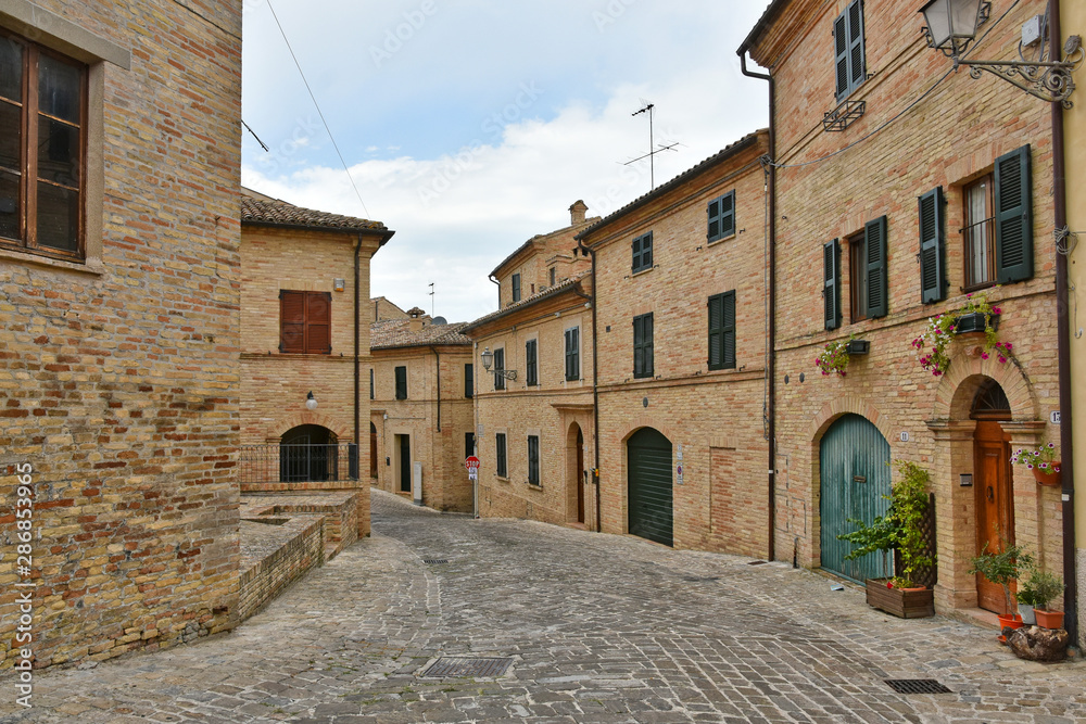  Tourist trip to a medieval town of Montelupone, in the Marche region. (Italy)