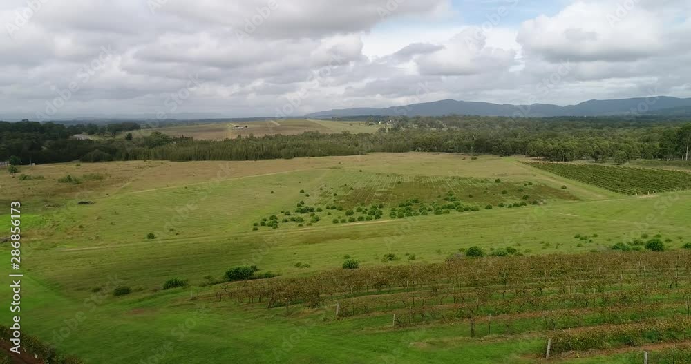 Rows and lines of vineyards on hillsides in Hunter Valley wine making region of NSW, Australia – slow hovering around. Rows and lines of vineyards on hillsides in Hunter Valley wine making region of NSW, Australia – slow hovering around.