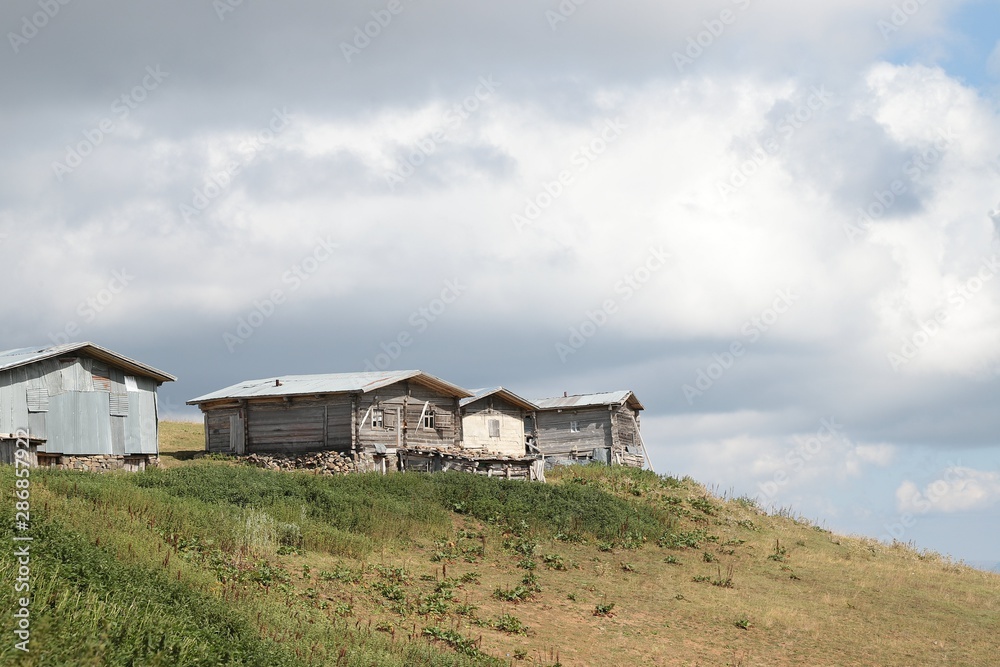 village houses in the forest .artvin turkey