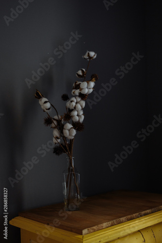 decorative branch with cotton stands in a transparent vase on a wooden chest. Simple and dark room interior