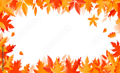 Bright autumn banner made of leaves.