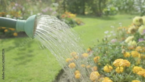Watering can watering flowers themes of retirement gardening hobbies