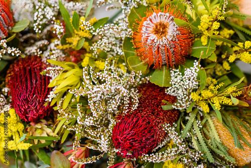 Close-up of a colorful bouquet with the variety of Australian native flowers. photo
