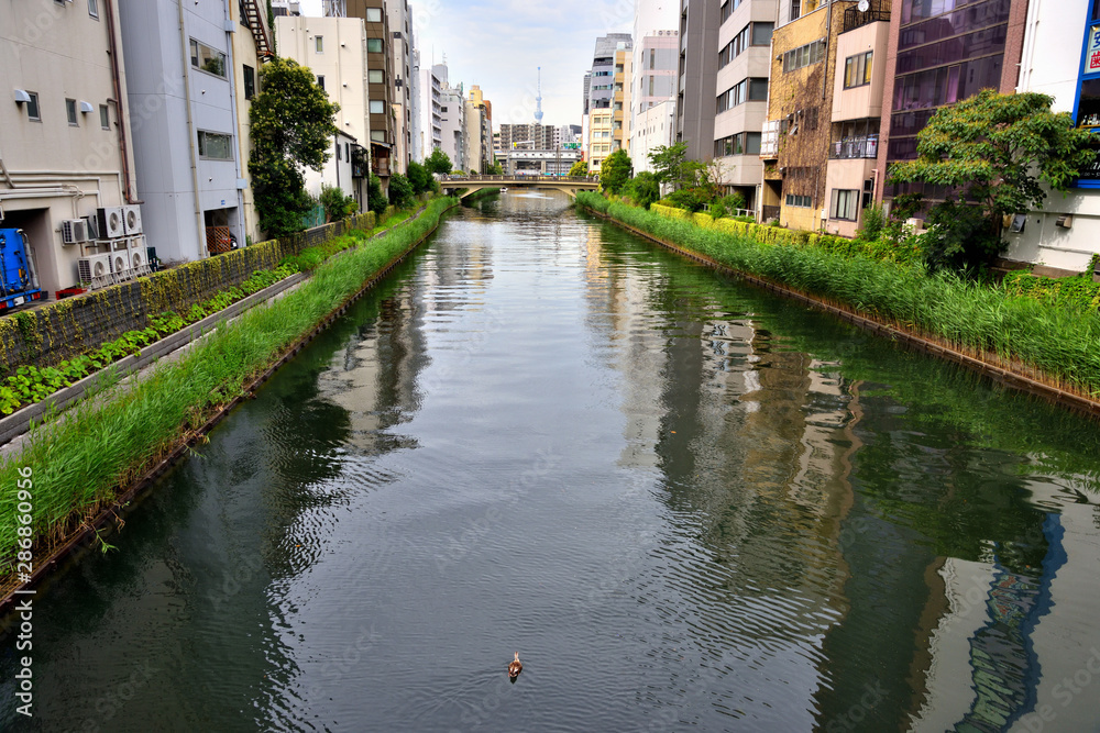 隅田川に流れ込む川のボート係留場