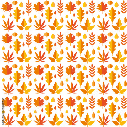 Seamless pattern with autumn leaves of oak, Rowan, birch, maple in orange, red and yellow colors in vector. Perfect for Wallpaper, gift paper, pattern fill, web page background, autumn