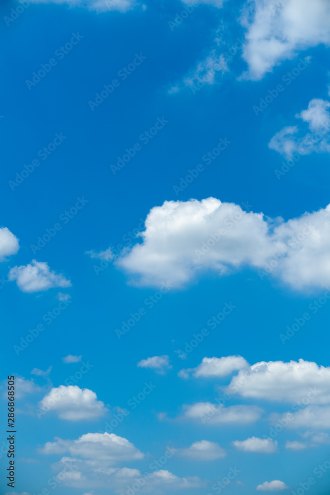 Cloud Cloud