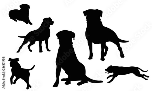 Rottweiler Icons Black | Dog icons
