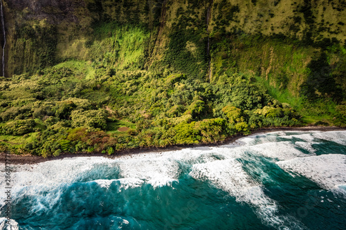 Rough ocean waves pound a lush green jungle coastline near Laupahoehoe Nui on the big island of Hawaii