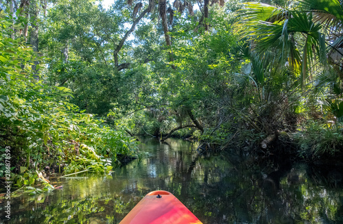 Kayaking on Juniper Springs Creek, Florida