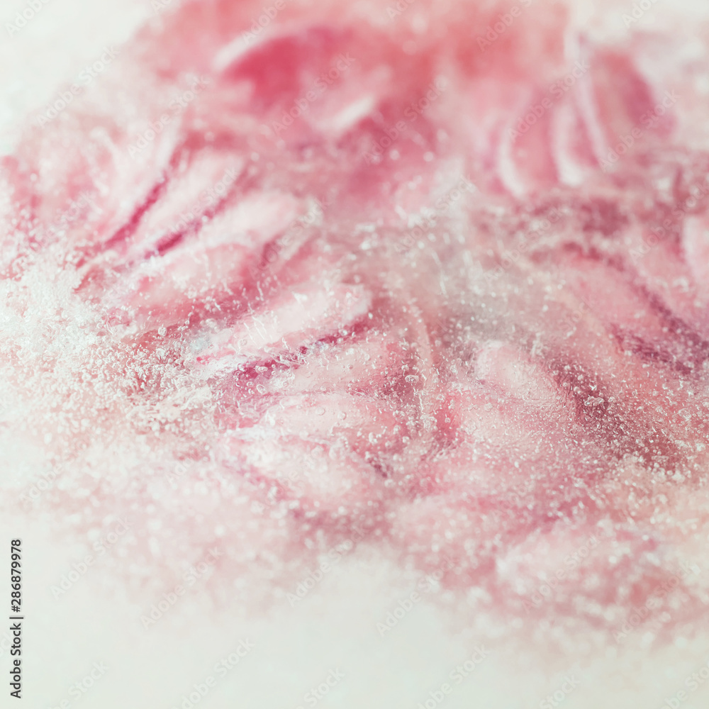 Fototapeta premium Frozen melon