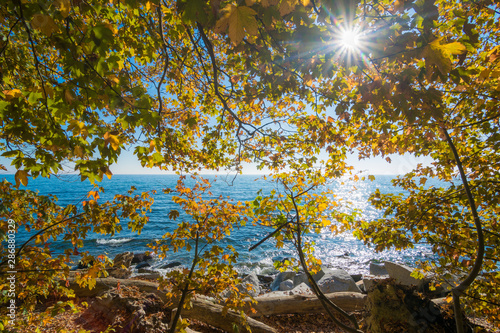 Sonne über dem Meer mit Laub der Bäume im Herbst