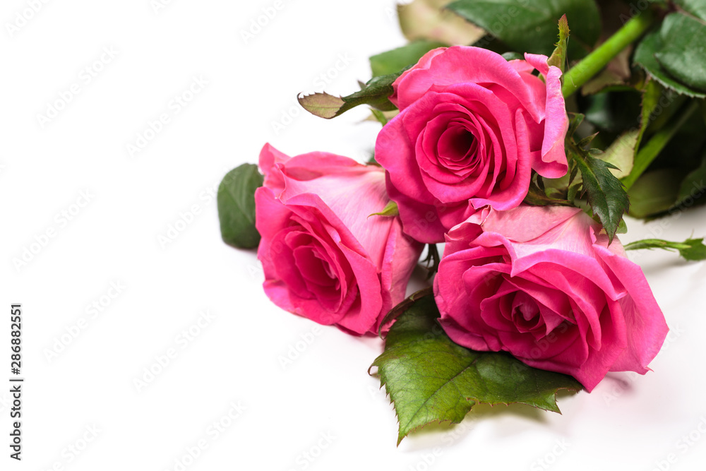 Beautiful rose flowers bunch isolated on white background Beautiful rose flowers bunch isolated on white background