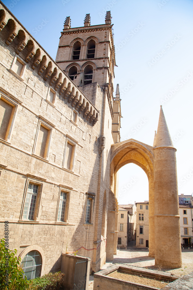 la cathédrale de montpellier 