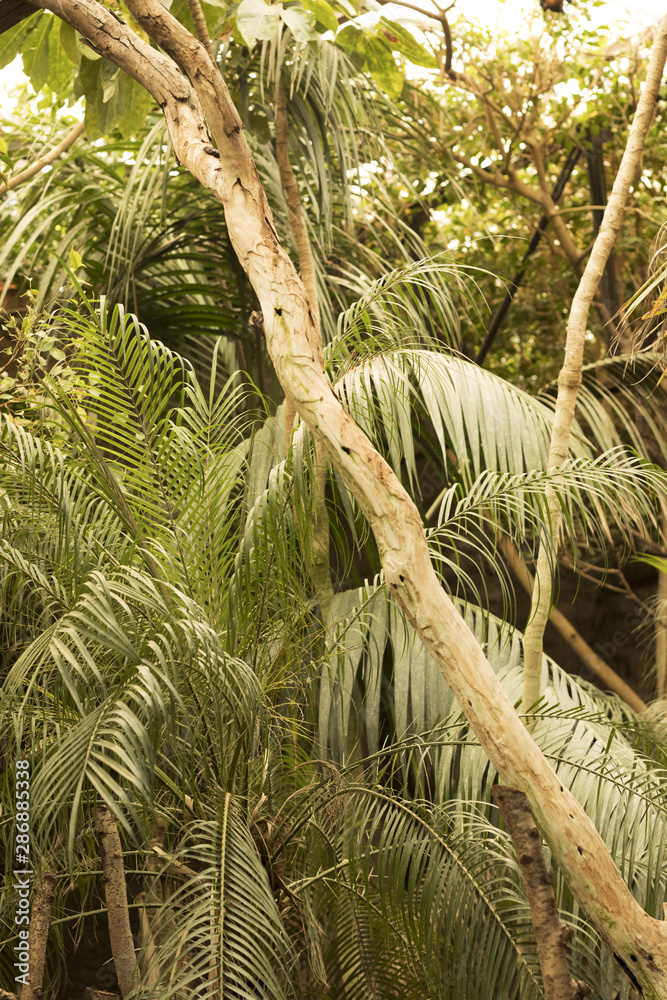 Naklejka premium Animal habitat