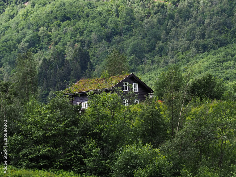 House in the forest, in the mountains with plants on the roof. Traditional Norwegian wooden house in the forest House in the forest, in the mountains with plants on the roof. Traditional Norwegian wooden house in the forest