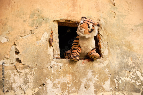 Stuffed tiger sticking out window from animals in the Yard of Lost Toys, in Lviv Ukraine