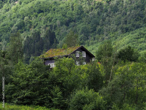 House in the forest, in the mountains with plants on the roof. Traditional Norwegian wooden house in the forest