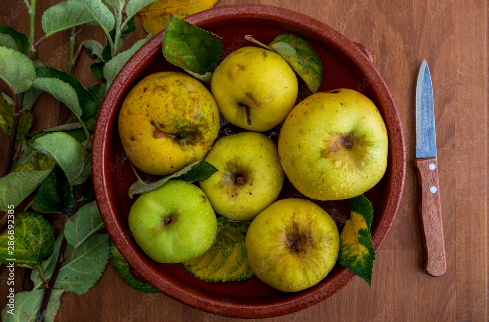 Manzanas amarillas (reinetas) frescas, crudas y maduras. Con hojas sobre sobre fondo de madera.Yellow apples (reinetas) fresh, raw and ripe. With leaves on on wooden background. Manzanas amarillas (reinetas) frescas, crudas y maduras. Con hojas sobre sobre fondo de madera.Yellow apples (reinetas) fresh, raw and ripe. With leaves on on wooden background.
