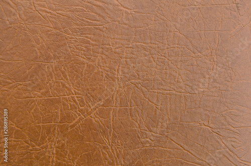 Wallpaper Mural Natural brown leather texture background. Abstract vintage leather design. Torontodigital.ca