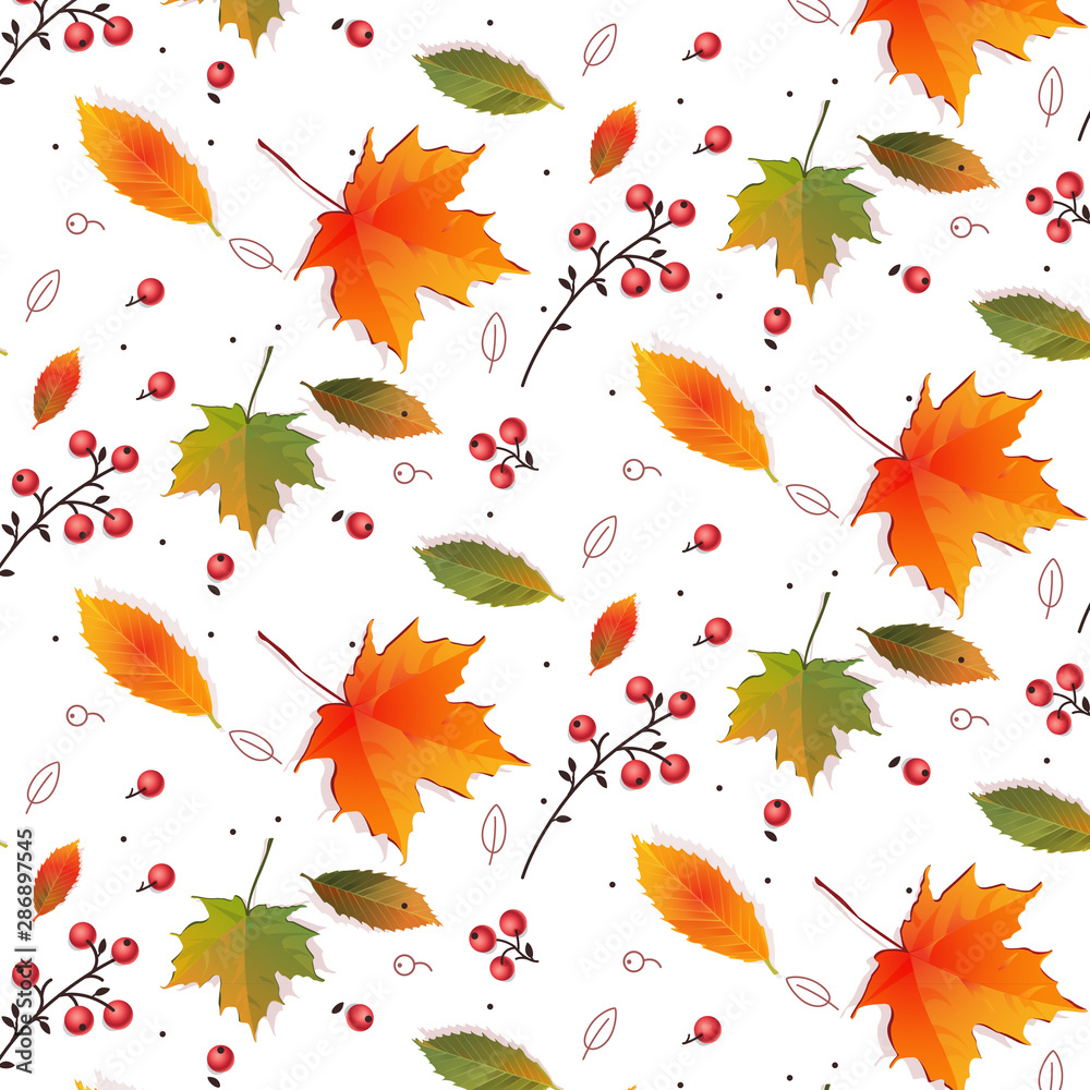 Autumn pattern with leaves,Leaves maple, mountain ash, oak, birch.