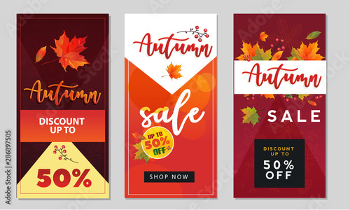 Autumn sale background layout decorate with leaves for shopping sale or promo poster and frame leaflet or web banner.Vector illustration template.