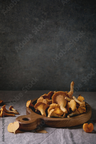 Schilderij op canvas Forest chanterelle mushrooms