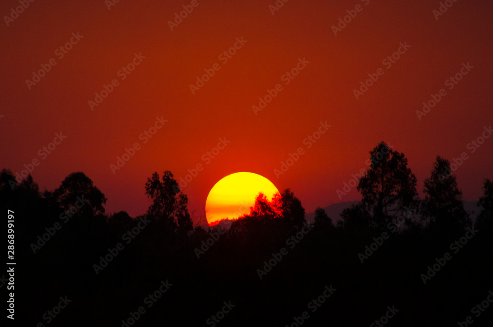 Obraz premium Puesta de sol 