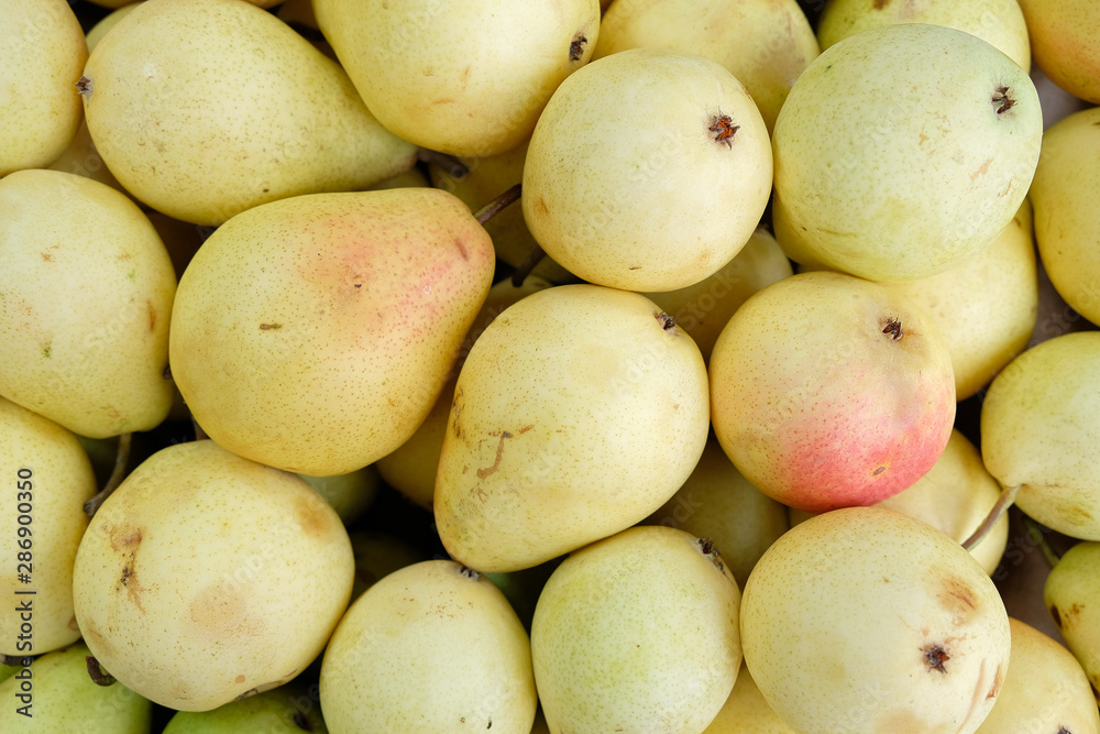 pile of fresh pears in the market closeup pile of fresh pears in the market closeup