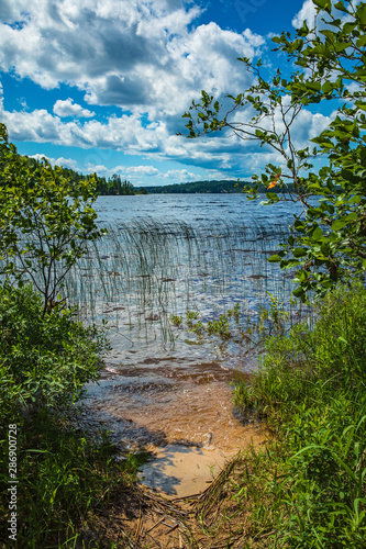 Sandy place to put your canoe or kayak on French Lake from the Chippewa campground in Quetico Provincial Park, Atikokan, Ontario, Canada photo
