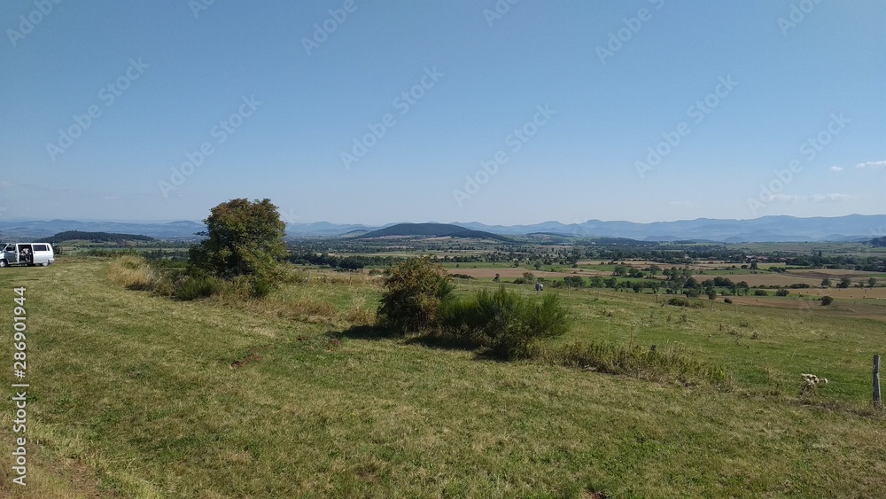 landscape with tree landscape with tree