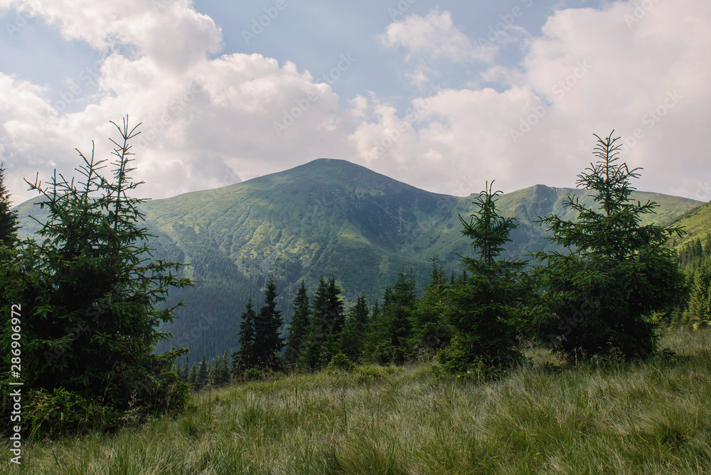 Fototapeta premium image of a mountain range, forest and lawns