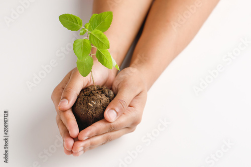 Female hand holding small plant on black background ,save the tree concept