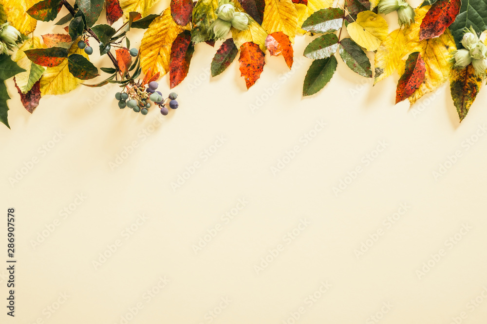 Autumn composition. Frame made of fall autumn leaves on pastel beige background. Flat lay, top view - obrazy, fototapety, plakaty 