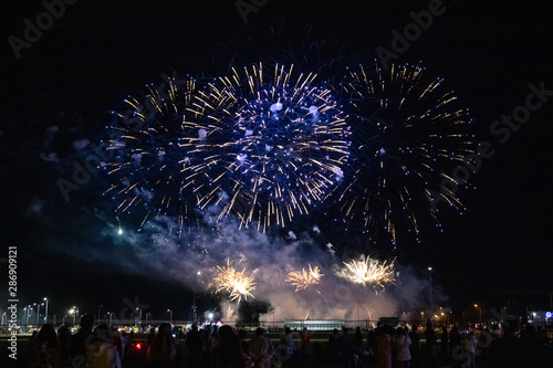 people look at the festive bright fireworks in the night sky