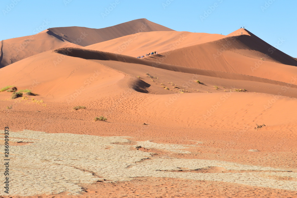 Namibia (2019) - Big Daddy Namib desert