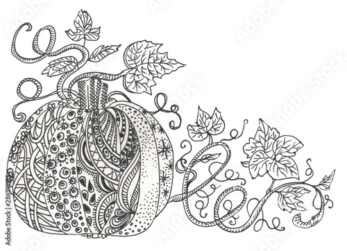 Fairy doodle tungle pumpkin. Black and white monochrome background. Pumpkin and leaves. Zentangle coloring book page