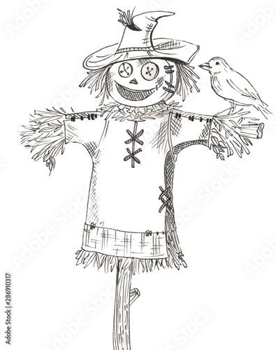 Cartoon scarecrow with bird on white background