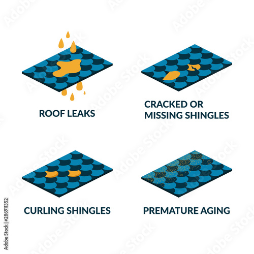 Advertising flyer set written roof leaks, flat.