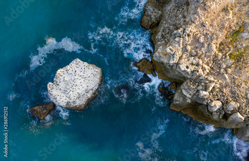 Εκτύπωση καμβά Aerial photo of a rocky seashore with vivid blue sea and a rock with landing bir