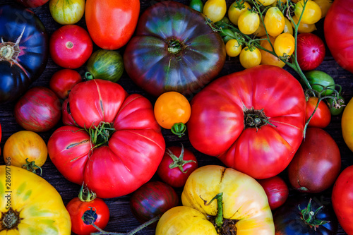 Colorful organic heirloom tomatoes photo