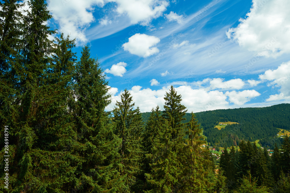 Beautiful summer landscape - countryside on hills with spruces, cloudy sky at bright sunny day. Village with wooden homes. Carpathian mountains. Ukraine. Europe. Travel background.