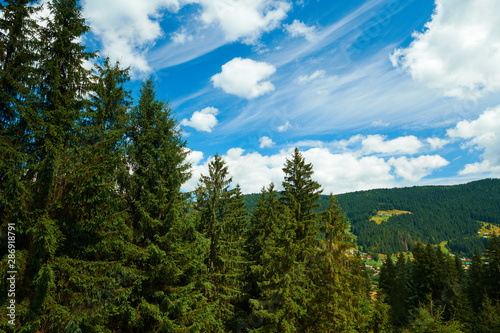 Beautiful summer landscape - countryside on hills with spruces, cloudy sky at bright sunny day. Village with wooden homes. Carpathian mountains. Ukraine. Europe. Travel background.