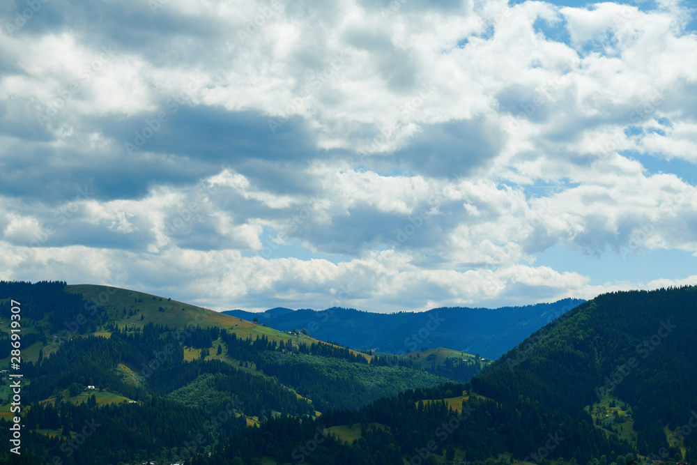 Beautiful summer landscape - spruces on hills, cloudy sky at bright sunny day. Carpathian mountains. Ukraine. Europe. Travel background. Beautiful summer landscape - spruces on hills, cloudy sky at bright sunny day. Carpathian mountains. Ukraine. Europe. Travel background.