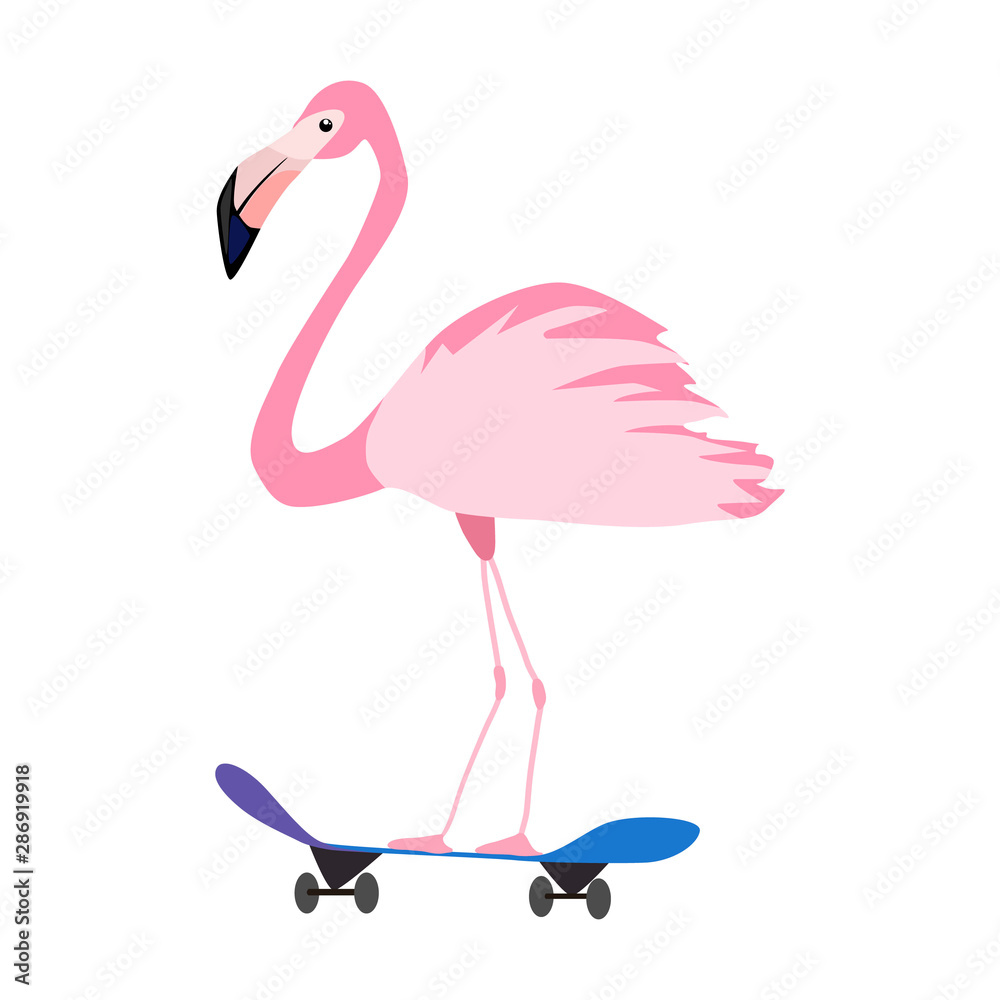 Fototapeta premium t-shirt illustration with pink flamingo on skateboard.isolated on white background