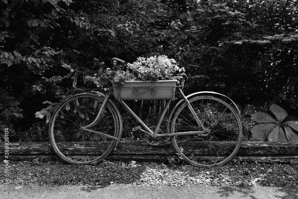 Vieille bicyclette abandonnée noir et blanc Vieille bicyclette abandonnée noir et blanc